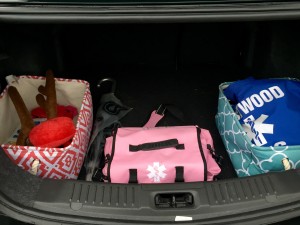 TJ Maxx storage bins loaded with stuff in the back of my car.